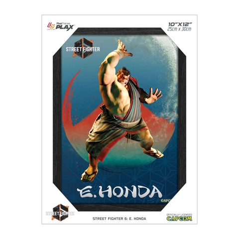 Street Fighter 6 E. Honda Plax lenticular frame 3D wall art officially licensed 10"x12" inch (23x30cm) | Pixel Frames