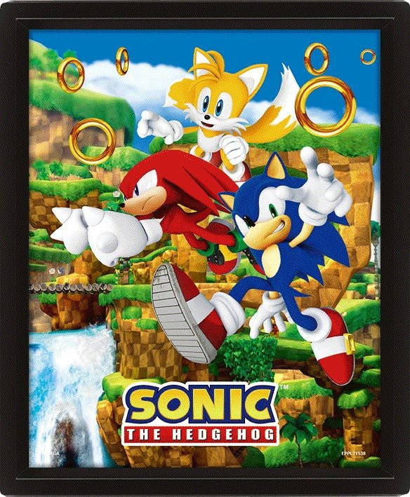 Sonic The Hedgehog Catching Rings 10 x 8" 3D Lenticular Poster black Framed | Pyramid - 1