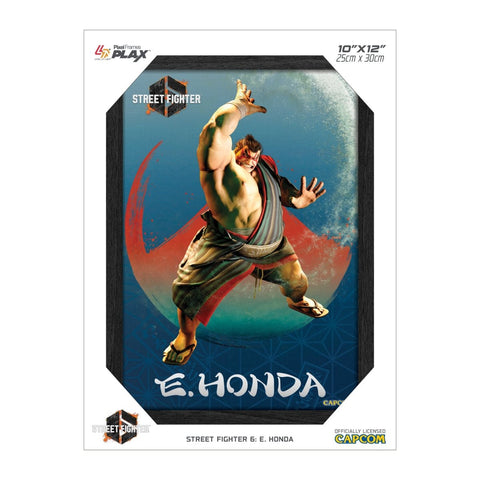 Street Fighter 6 E. Honda Plax lenticular frame 3D wall art officially licensed 10"x12" inch (23x30cm) | Pixel Frames - 2